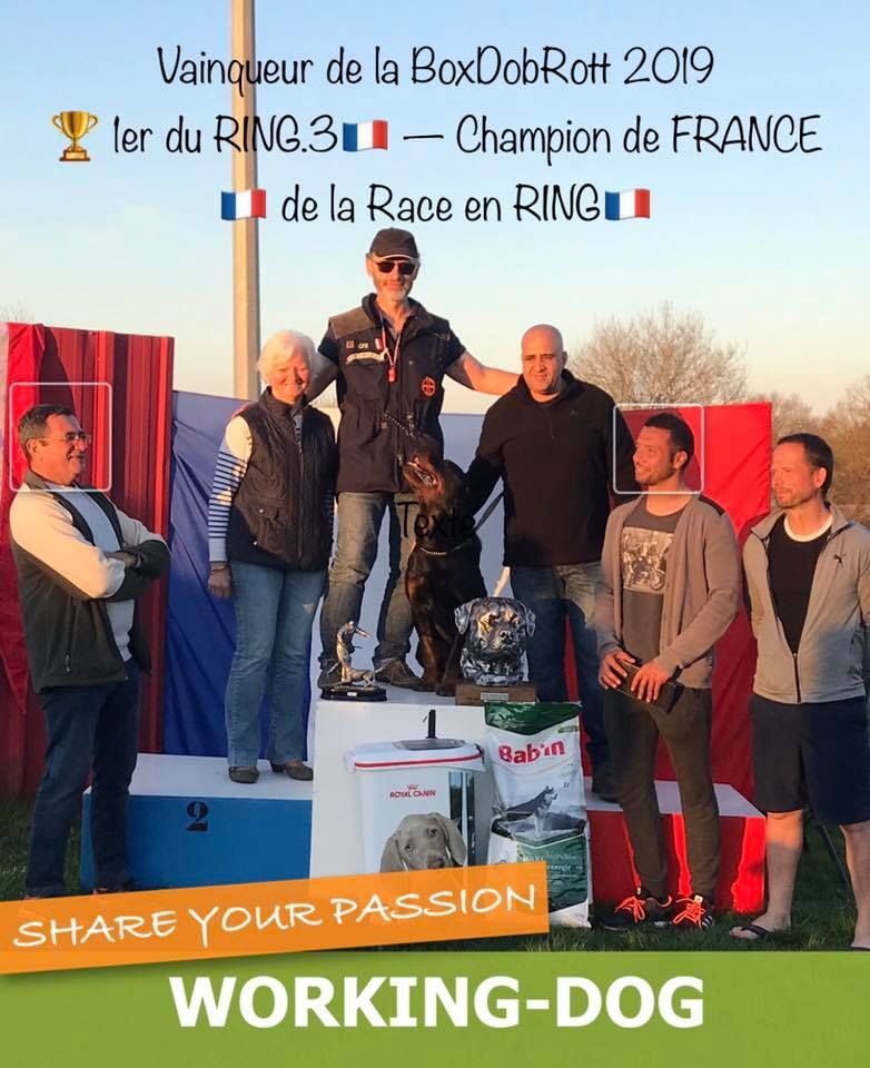 De Froid-Vent Saint-Hilaire - Champion de France de la race en RING 2019