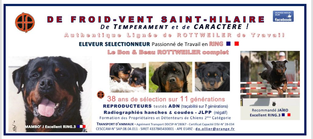 De Froid-Vent Saint-Hilaire - Notre page Facebook