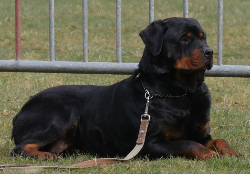 Lilou De Froid-Vent Saint-Hilaire