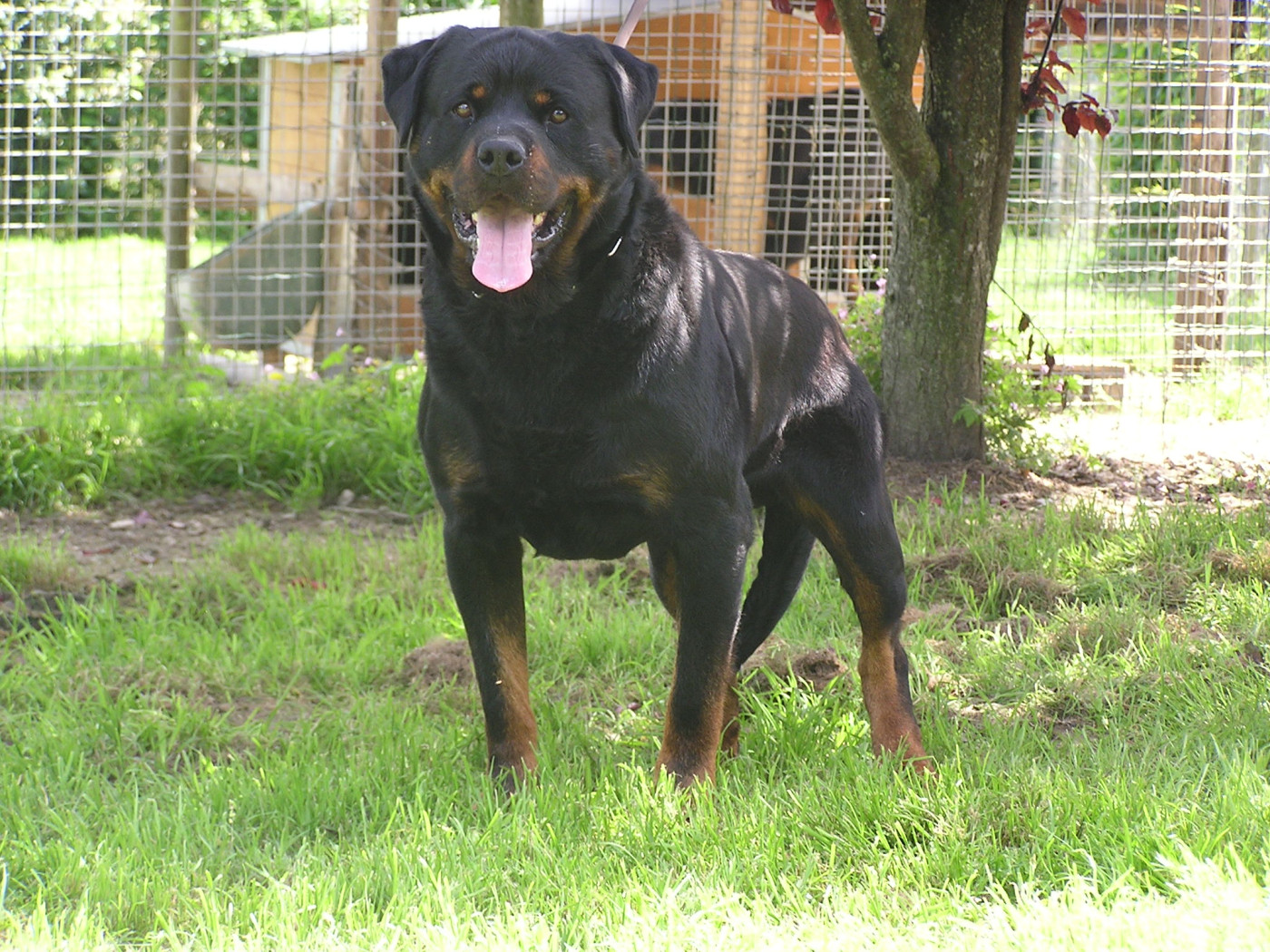 Portée printemps 2026